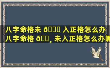 八字命格未 🐕 入正格怎么办「八字命格 🌸 未入正格怎么办呢」